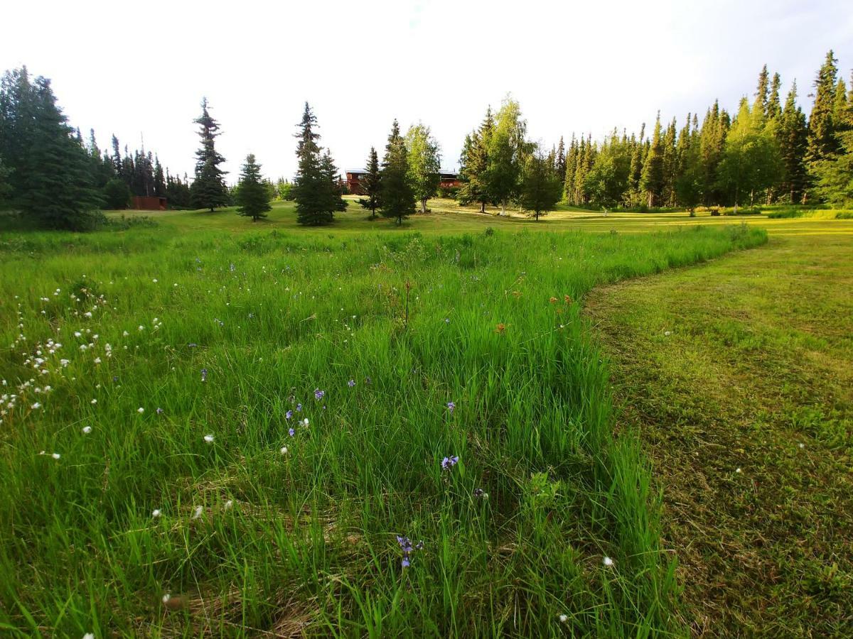 Northern Sky Lodge Fairbanks Kültér fotó